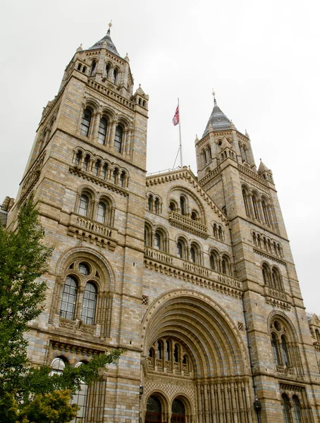 stock image Natural History Museum London