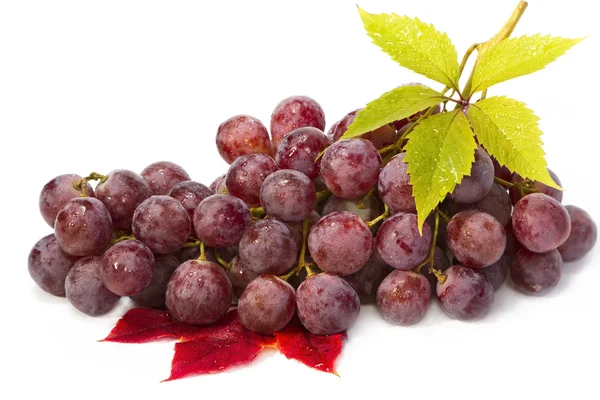 Червоний виноград з листям ізольовано на білому . — стокове фото