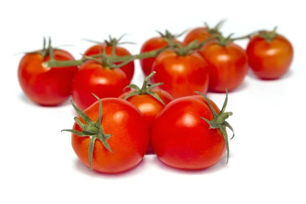 Tomates cherry sobre fondo blanco. —  Fotos de Stock