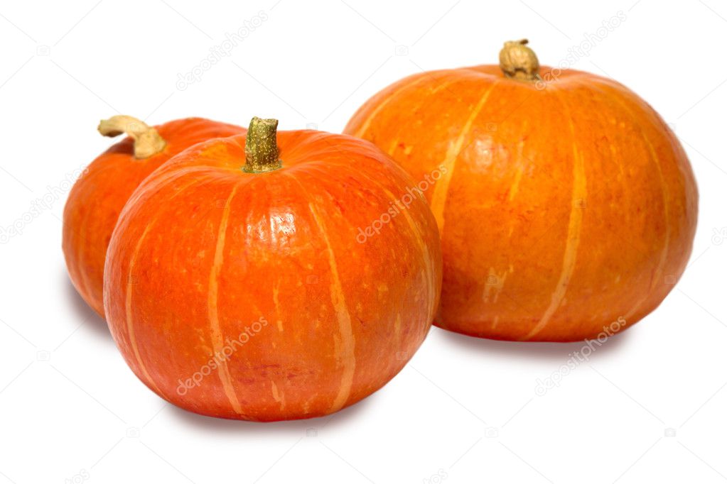 Three pumpkin on white background.