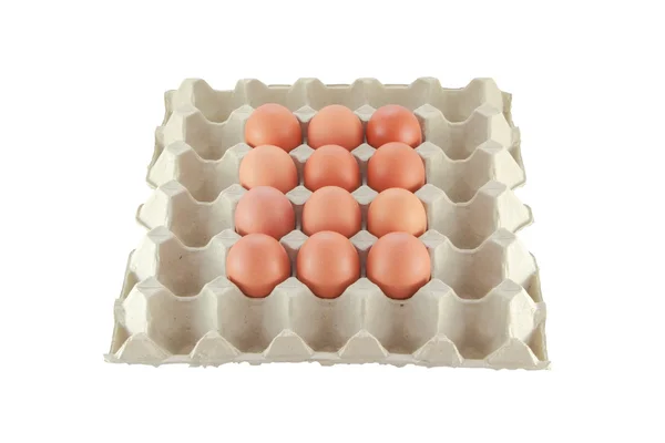 12 yumurta — Stok fotoğraf