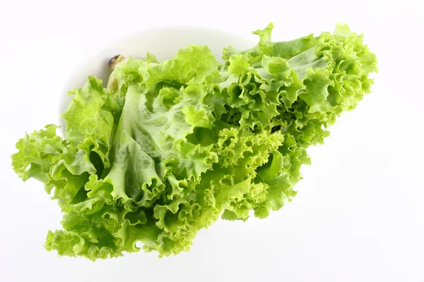 A fehér asztal kerek tál zöld saláta — Stock Fotó