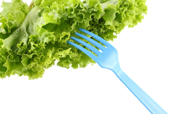 Zöld saláta, saláta és villát fehér háttér. — Stock Fotó