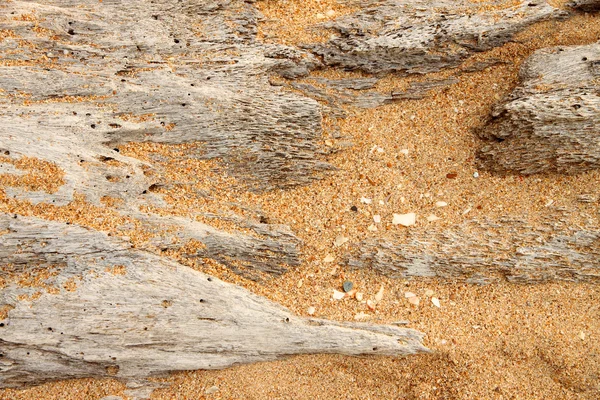 Umywalka skóry martwe drewno w piasku. — Zdjęcie stockowe