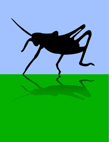 Grasshopper — Stock Vector