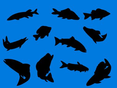 Fish silhouette clipart