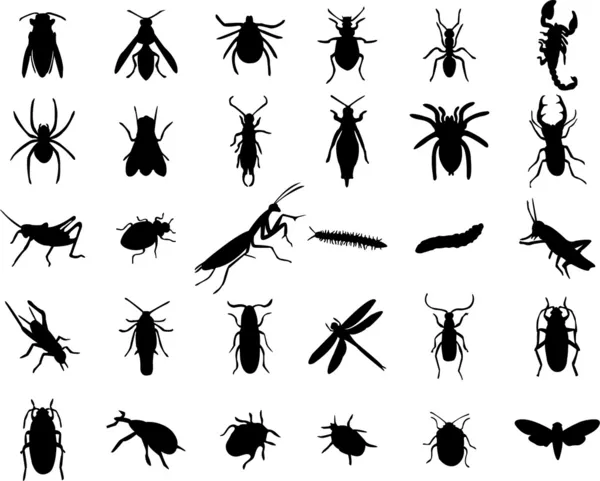 Silhouette di insetti — Vettoriale Stock
