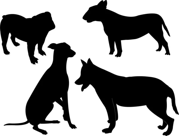 Silhouette dei cani — Vettoriale Stock