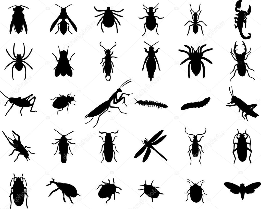 Bugs silhouette