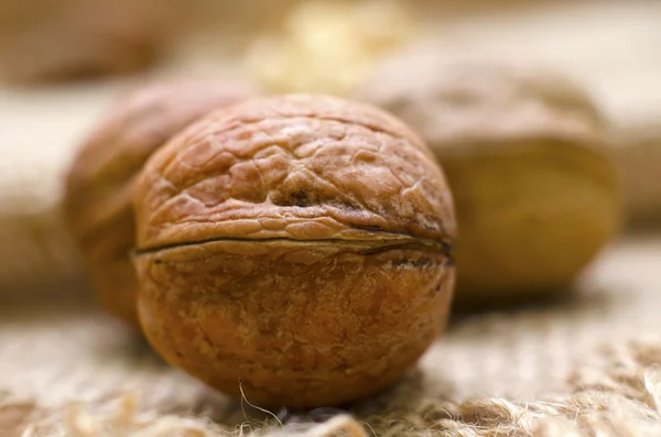 Зрелые грецкие орехи — стоковое фото