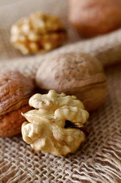 Зрелые грецкие орехи — стоковое фото