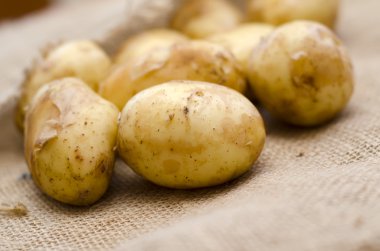 patates