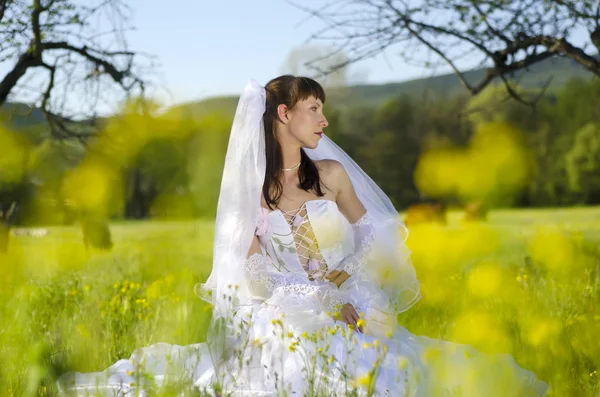 Bruid in veld Stockafbeelding