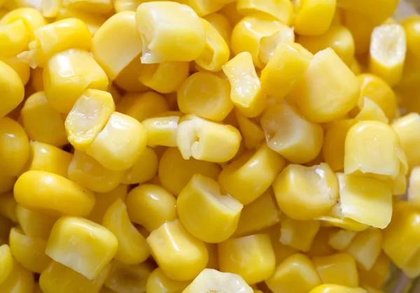 stock image Sweet corn