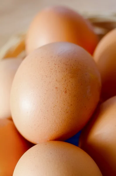 Råa ägg — Stockfoto