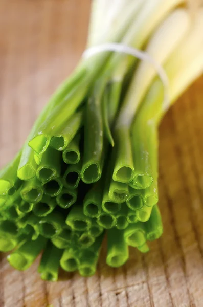 Cipolla verde — Foto Stock
