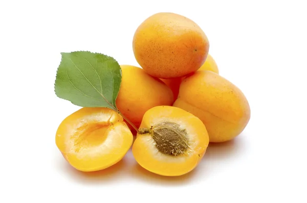 stock image Apricot