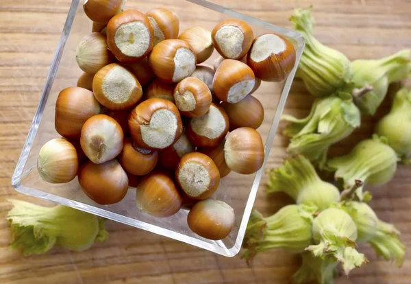 stock image Nuts on wood