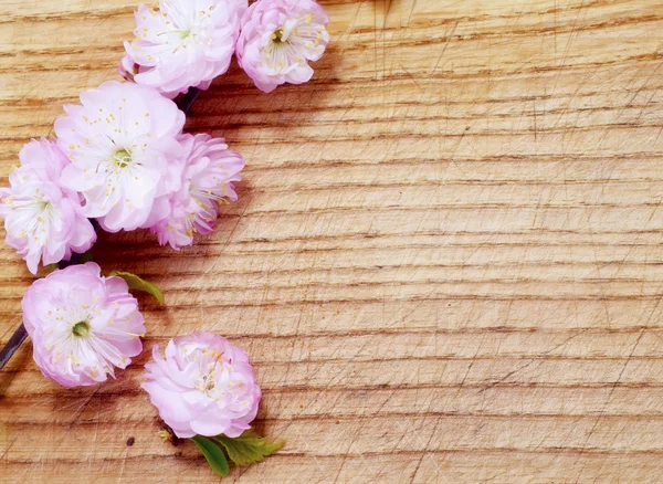 Bloemen op houten bord — Stockfoto