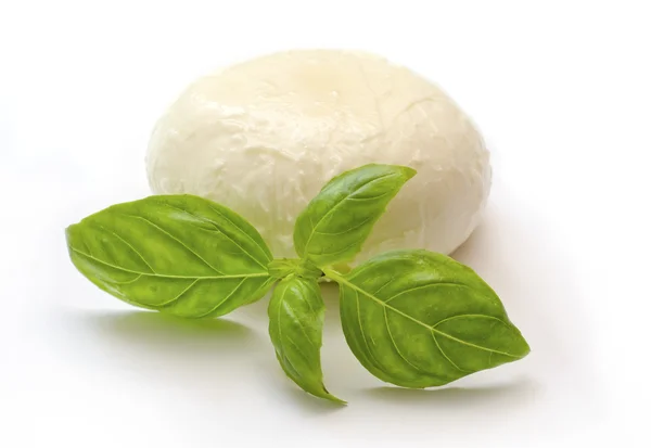 stock image Mozzarella