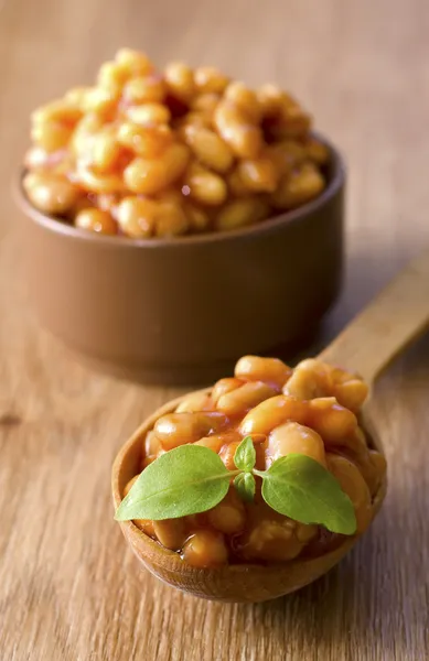 Bean with tomato and basil — Stock Image Bean with tomato and basil Royalty Free Stock Photos