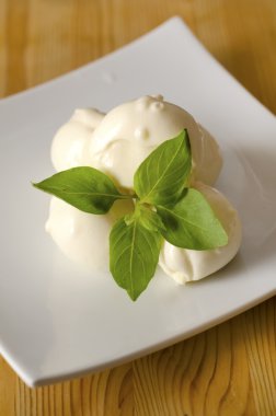 mozarella