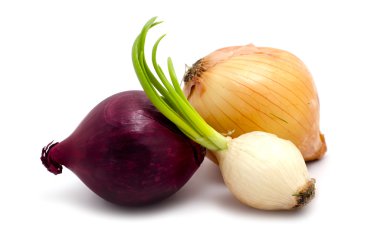 Onion on white background clipart