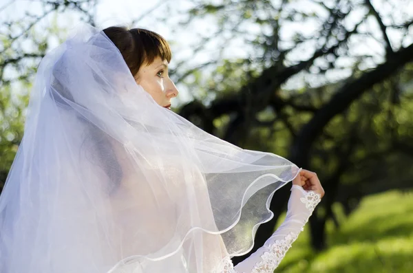 Bruid in de natuur — Stockfoto