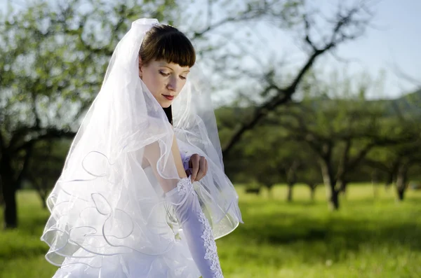 Bruid op aard — Stockfoto