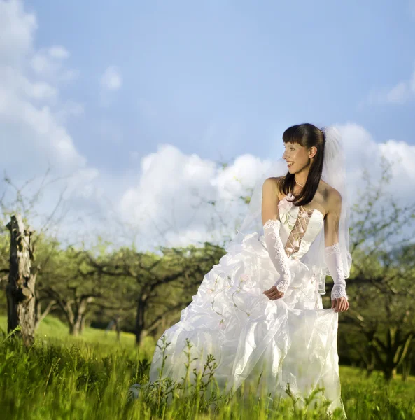 Невеста на природе — стоковое фото