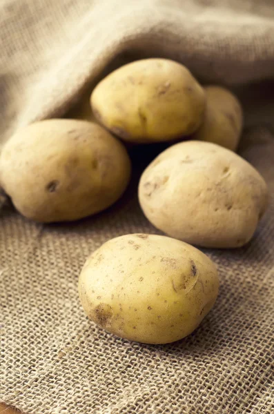 stock image Potatoes