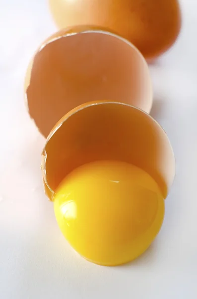 Stock image Close up view of eggs in a cartoon