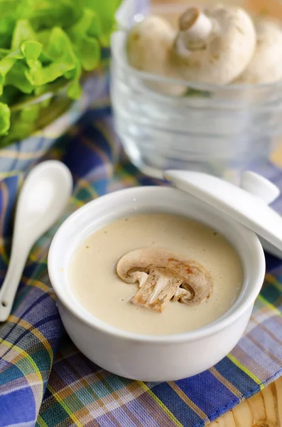 Champignon cream — Stock Image Champignon cream Stock Picture