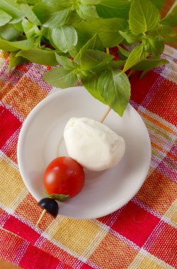 Domates ve fesleğenli mozzarella