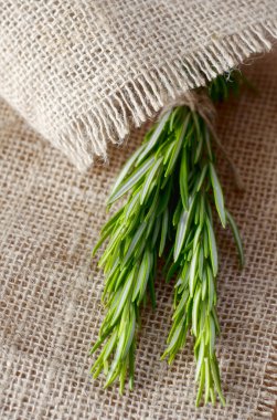 Fresh Rosemary Herbs On Wooden Background,Close Up