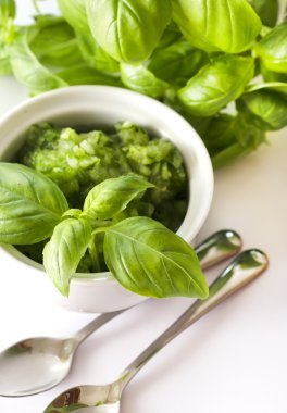 pesto Sos