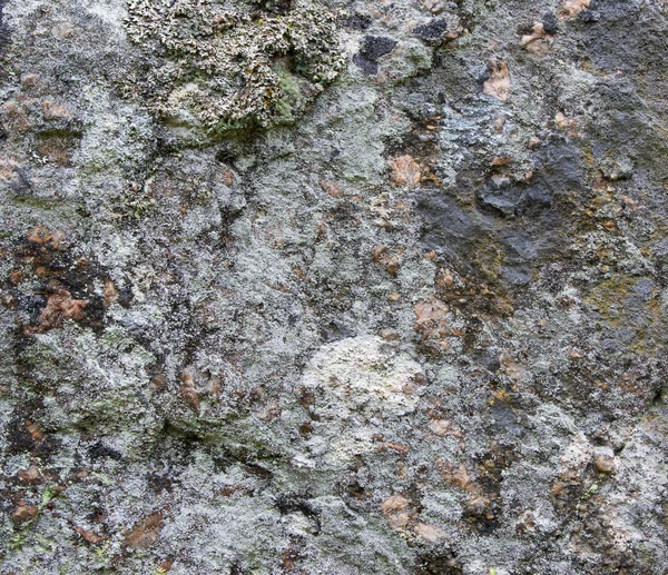 stock image Stone and moss