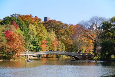 New York'taki central park Gökkuşağı Köprüsü