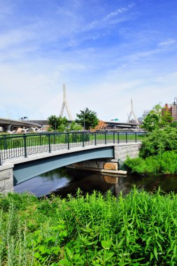 Boston Zakim Bunker Hill Bridge clipart