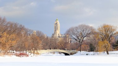 New York'un manhattan central Park'ta kış