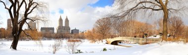 New York City Manhattan Central Park panorama in winter clipart