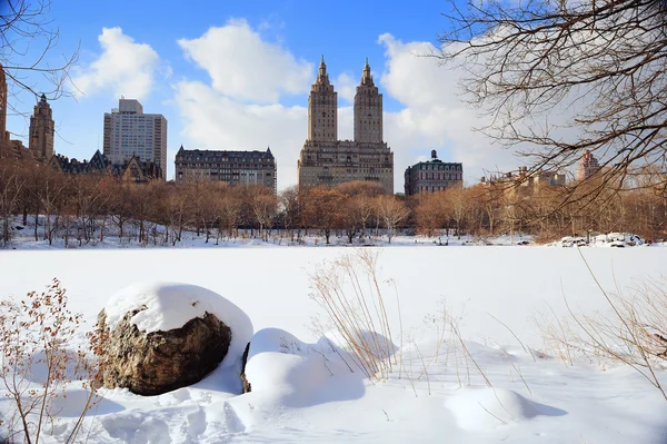 New york city manhattan centrale park in de winter — Stockfoto