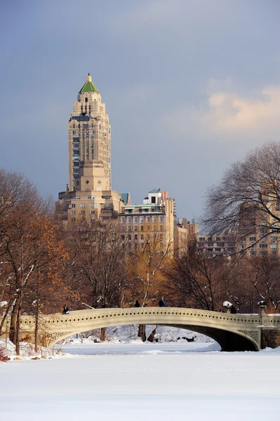 Nowym Jorku manhattan central parku w zimie — Zdjęcie stockowe