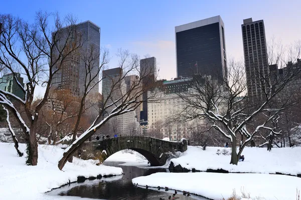 New Yorkban manhattan központi park panoráma alkonyatkor — Stock Fotó