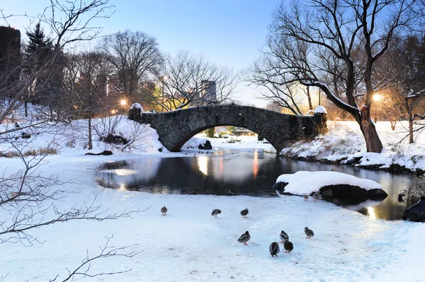 New Yorks manhattan central park i vinter — Stockfoto