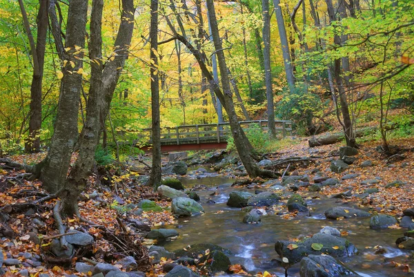 Herbstwald mit Holzbrücke — Stockfoto