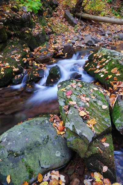 Höstens mountain creek — Stockfoto