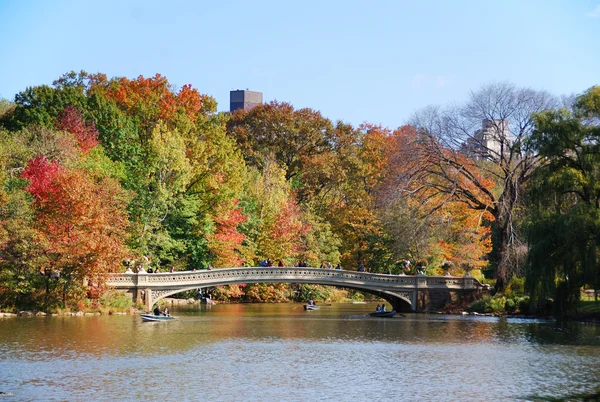 New York'taki central park Gökkuşağı Köprüsü — Stok fotoğraf