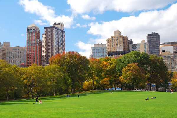 New York City Manhattan skyline panorama viewed from Central Park with cloud and blue sky and in lawn.