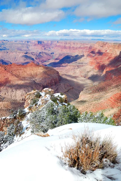 大峡谷的全景视图在冬天与雪 — 图库照片